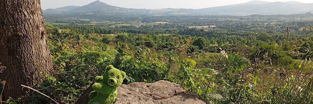 Green Teddy Ireland bear sitting on a rock with the Sugar Loaf mountain in the background.