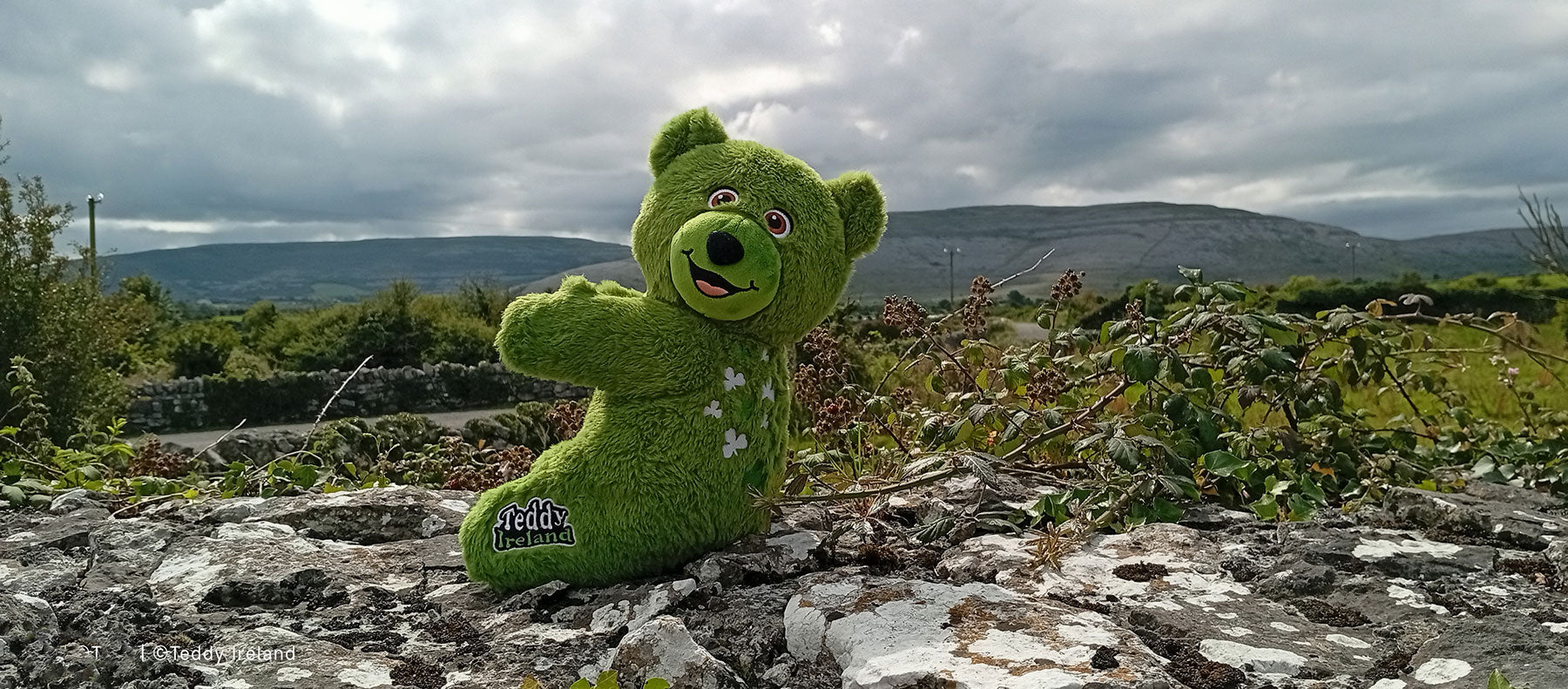 Teddy Ireland - The Burren region in County Clare Ireland. Photo shows the rocky, wild terrain with dramatic overcast sky.