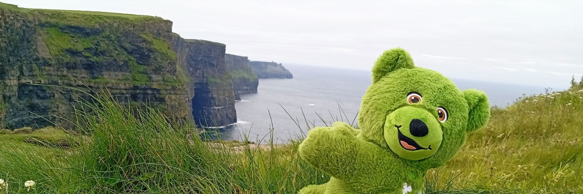 Green Teddy Ireland bear in front of Cliffs of Moher, County Clare, Ireland
