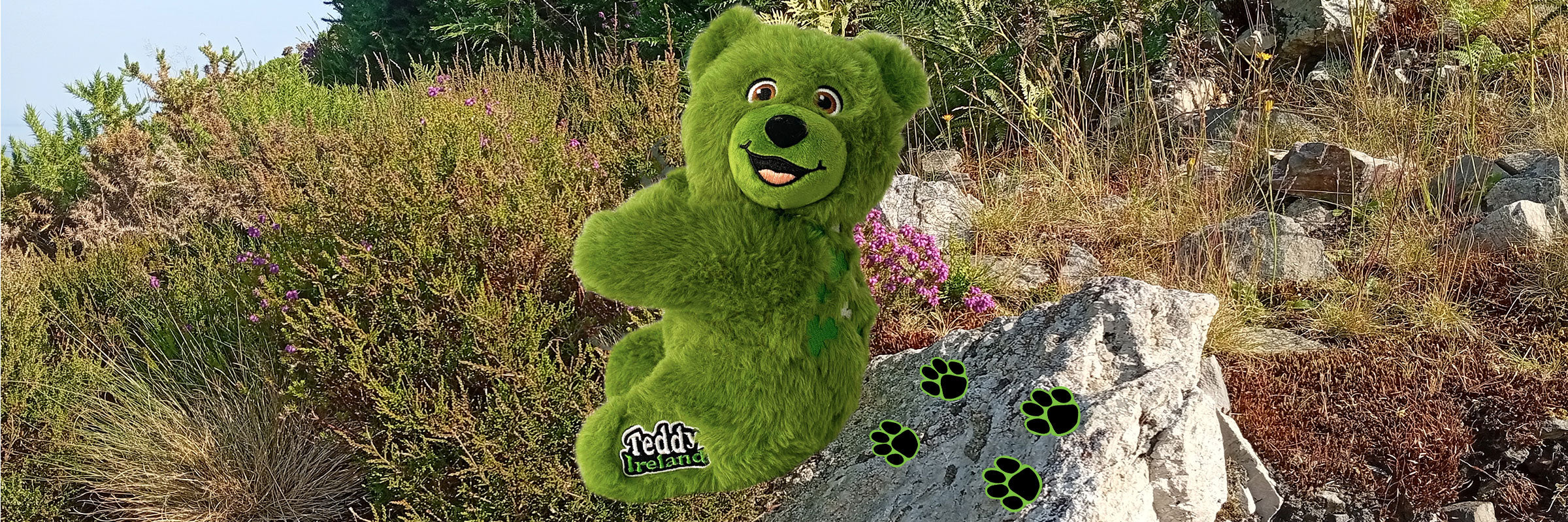Green Teddy Ireland bear with paw prints on a rocky landscape in Ireland.
