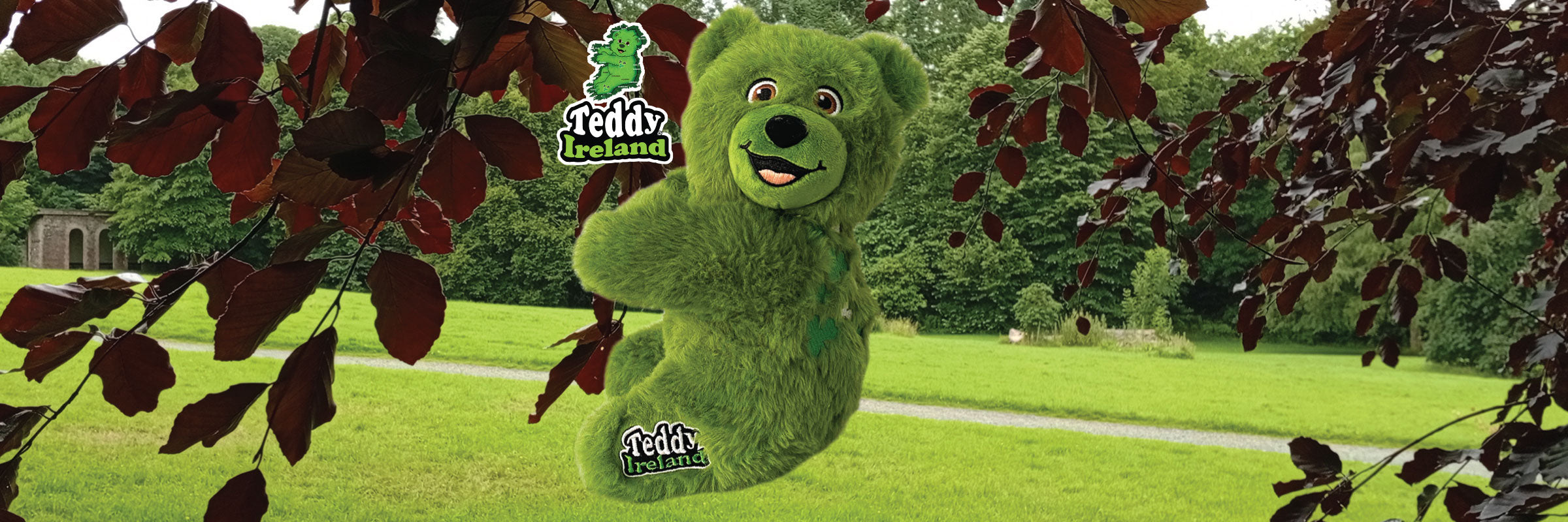 Green Teddy Ireland bear with greenery and copper leaf tree background