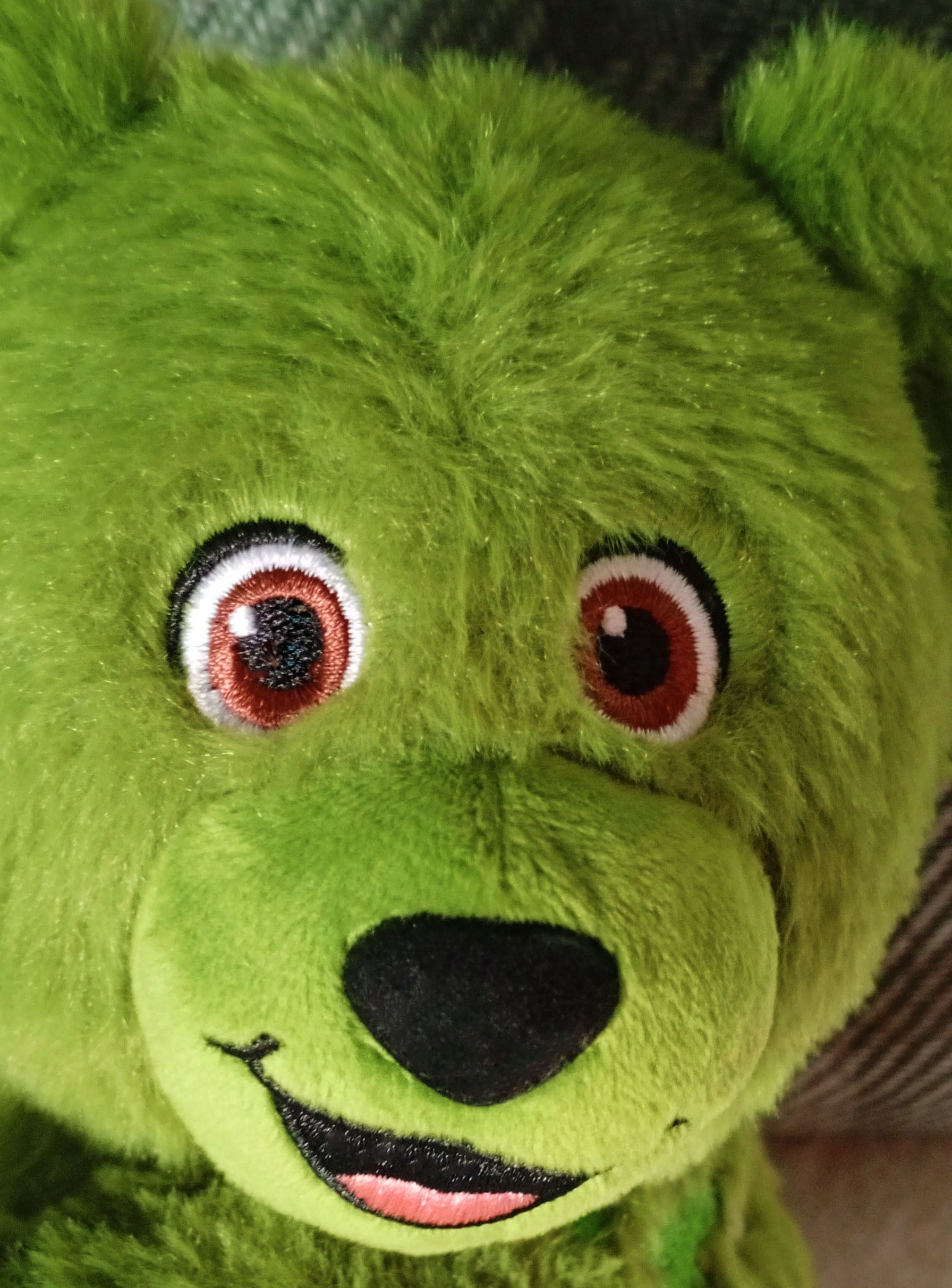 Close up of Teddy Ireland plush bear face with large brown eyes
