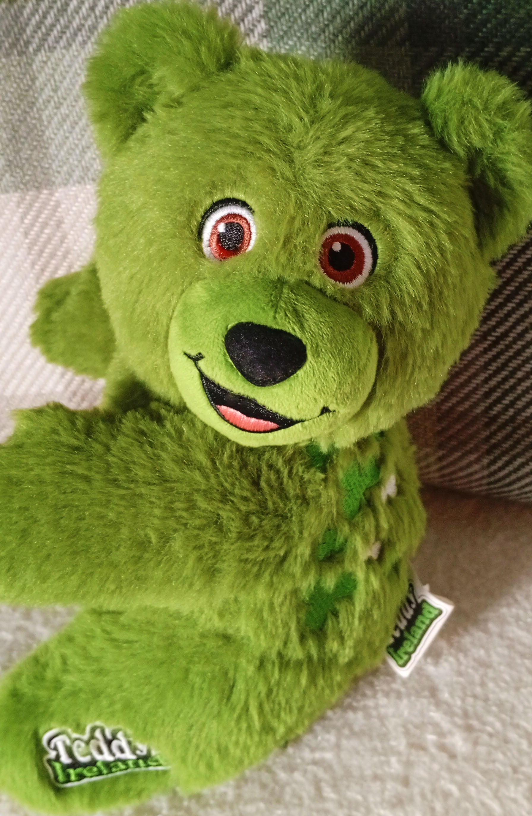 Green plush Teddy Ireland bear with cute smiling face.